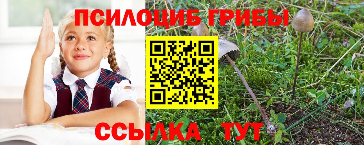 Кумертау  Галлюциногенные грибы прущие грибы  Вход с VPN 